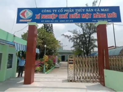 Công Trình Công Ty Thuỷ Sản Cà Mau 